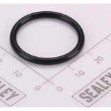 Sealey O-Ring (φ21.5 × 2.4) 2500LE.V3-76