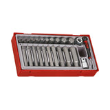 Teng Tools 1/2" Hex Bit Socket Set TT1 23 Pieces