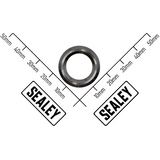Sealey Piston Gland APS1000-68
