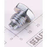 Sealey Handle Socket Bolt 4040A.87N