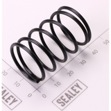 Sealey Centre Rod Spring AK3982.V2-14