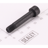 Sealey Arbor Screw AK399.V3-04