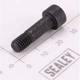 Sealey Arbor Screw AK399.V3-15