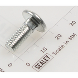 Sealey Coach bolt m6x16mm (single) CBN616.S