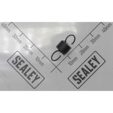 Sealey Pawl CRM10-V6-10