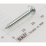Sealey Rd head s/t screw m4.1 x 25 M/MIG100.29
