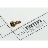 Sealey Rd head s/t screw m3x8 SA44.V3-02