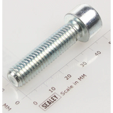 Sealey Socket cap bolt zinc m10x40 SCB1040.S