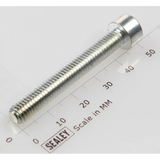 Sealey Socket cap bolt zinc m6x45 SCB645.S