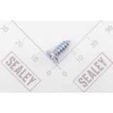 Sealey Tapping screw SM1304.V2-80