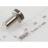 Sealey Hex Head Set Screw M6 X 12 Zinc SS612.S