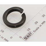 Sealey Spring Washer M12 Black SWM12.SB