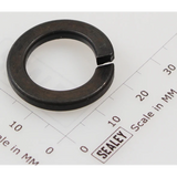 Sealey Spring washer m16 black(single) SWM16.SB