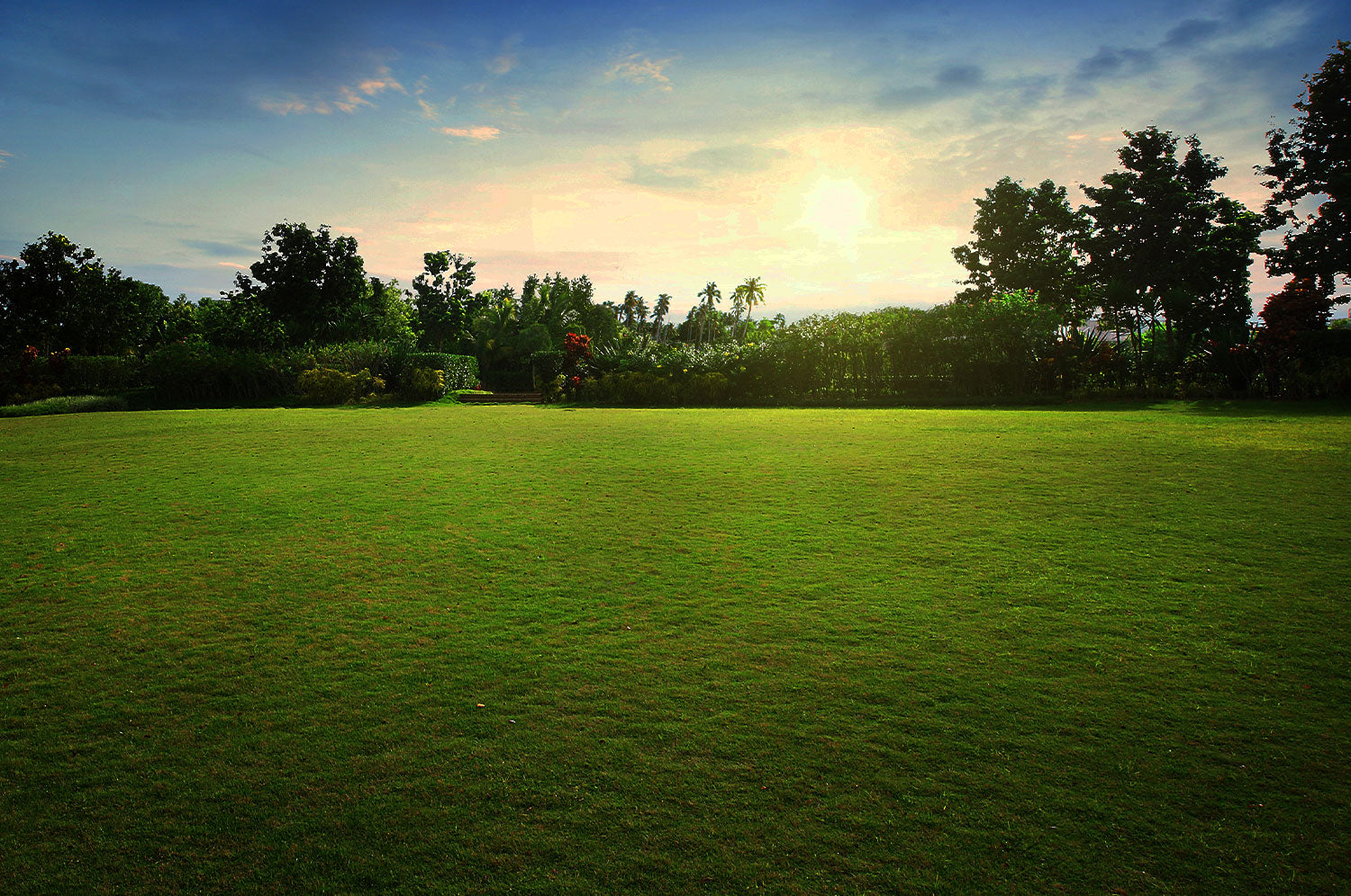 Making Gardening Easy with the Right Garden & Outdoor Tools