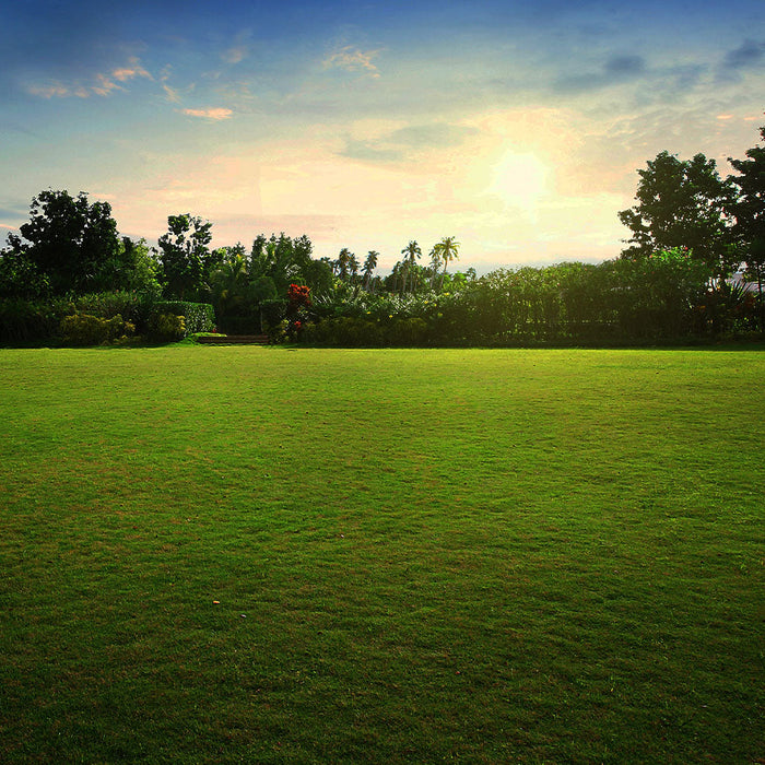 Making Gardening Easy with the Right Garden & Outdoor Tools