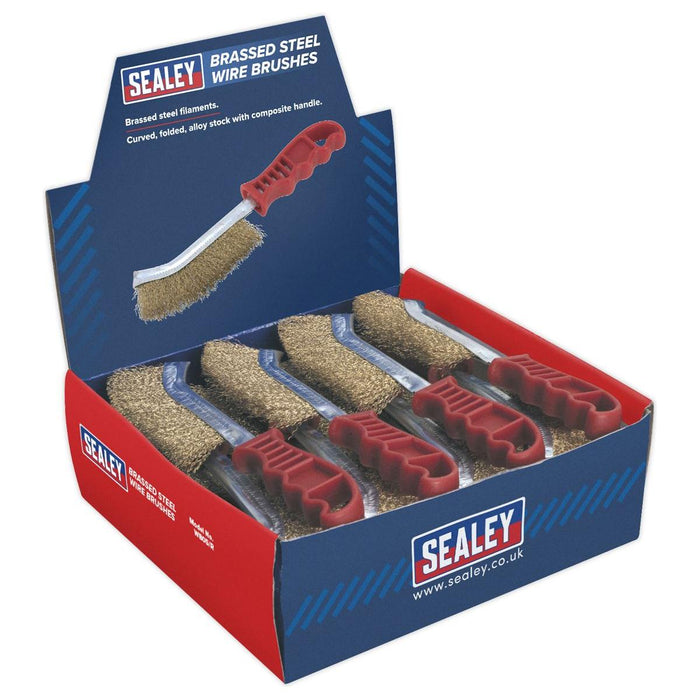 Sealey Wire Brush Brassed Steel Plastic Handle Display Box of 24 WB05DB24 Sealey - Town Tools 