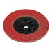 Draper Expert Ceramic Flap Disc, 115mm, M14, 60 Grit 87480 Draper - Town Tools 