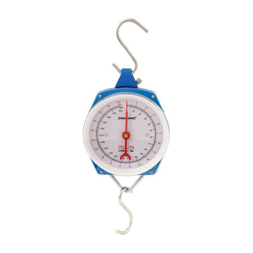 Silverline Hanging Scales Heavy Duty 100kg Silverline - Town Tools 