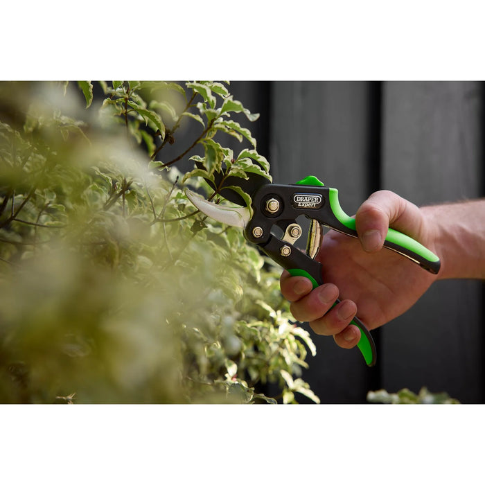 Draper Expert Anvil and Bypass Secateurs Set, 200mm (2 Piece) - BASEC/2