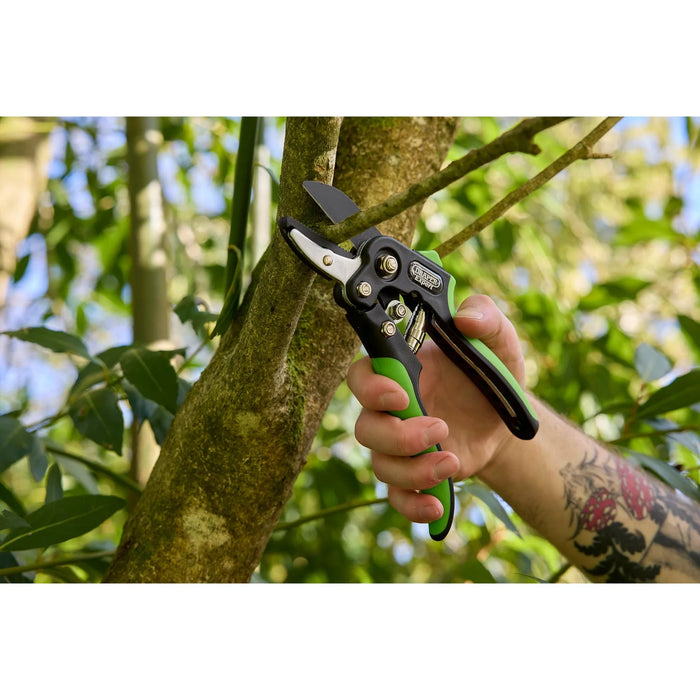 Draper Expert Anvil and Bypass Secateurs Set, 200mm (2 Piece) - BASEC/2