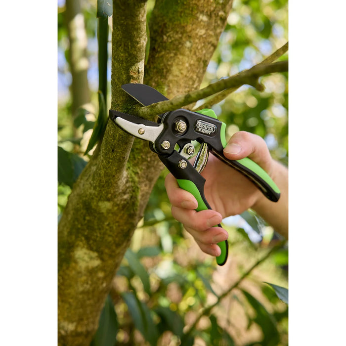Draper Expert Anvil and Bypass Secateurs Set, 200mm (2 Piece) - BASEC/2