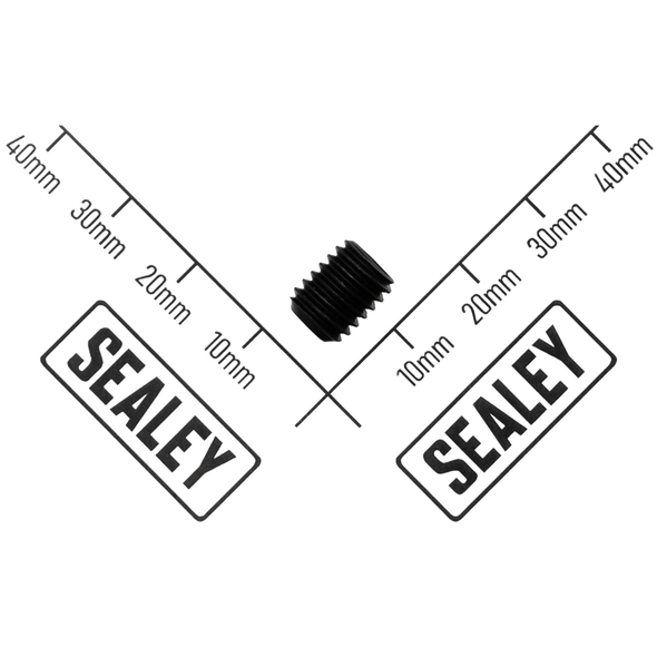Sealey Grub Screw
