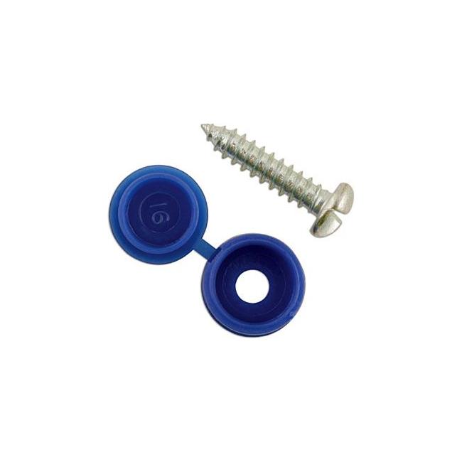 Connect Number Plate Security Screws 6 x 20mm Blue Cap 100pc 30336 Tool Connection - Town Tools 