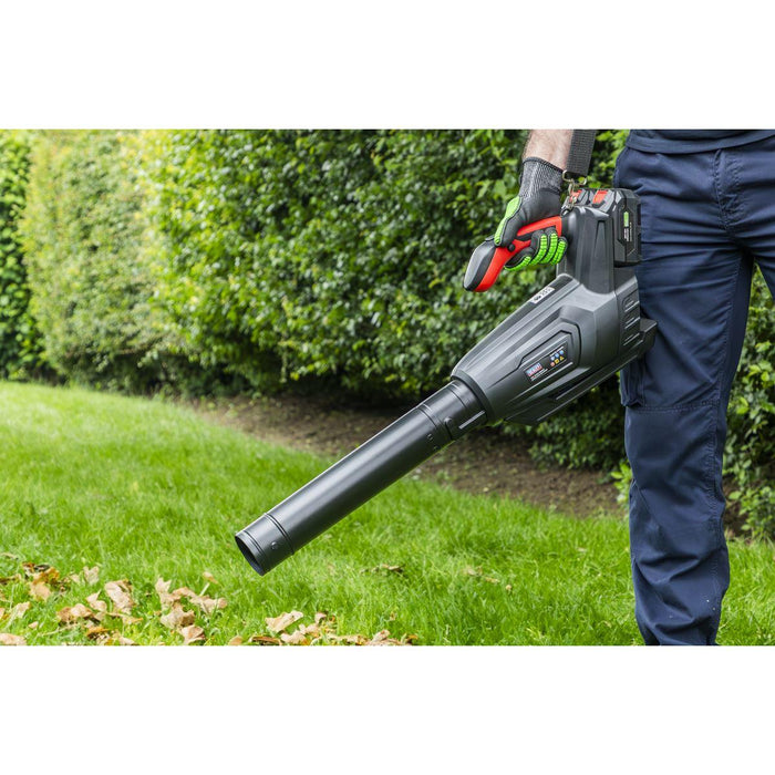 Sealey SV20 Series Cordless Blower 40V - Body Only CP40VB Sealey - Town Tools 