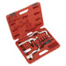 Sealey Petrol Engine Timing Tool Kit for BMW Mini Citroen Peugeot Chain Drive Sealey - Town Tools 