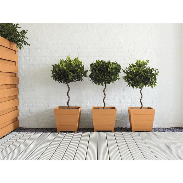 Ronseal Garden Paint Sunburst 250ml Ronseal - Town Tools