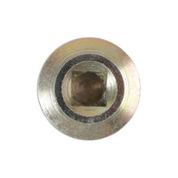 Connect HGV Sump Plug & Washer - for DAF 1pc 33166