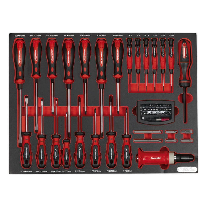 Sealey Tool Tray with Screwdriver Set 72pc TBTP04