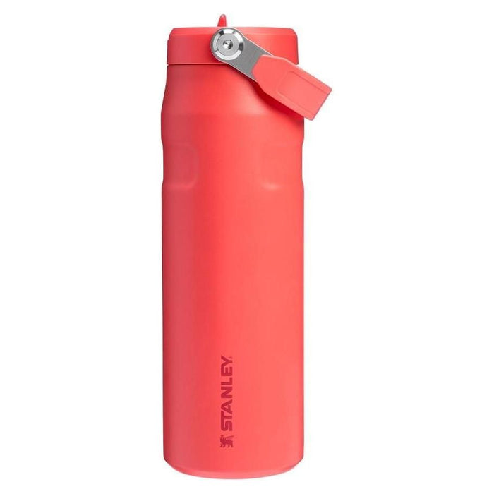 Stanley IceFlow Bottle Flip Straw 2.0 0.7L Stanley - Town Tools 10-11283-178-BUR