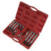 Sealey Bearing & Gear Puller Set 12pc PS900 Sealey - Town Tools 