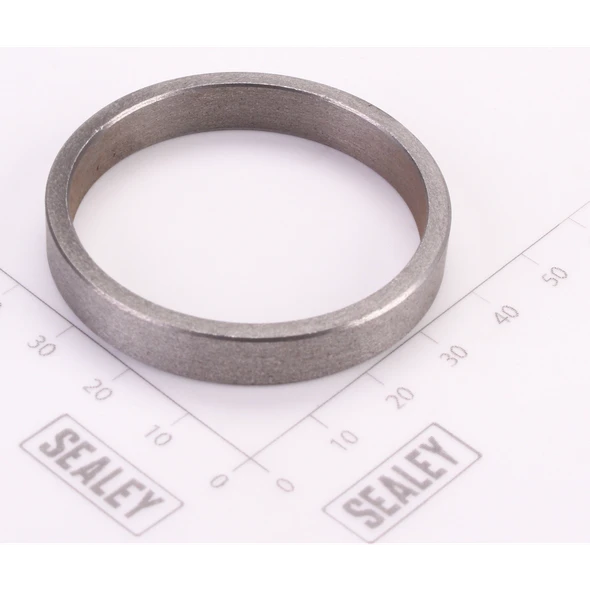 Sealey Bushing