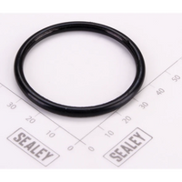 Sealey O-ring 1000E.V2-40