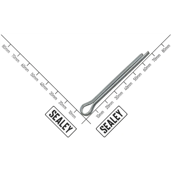 Sealey Pin