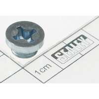 Sealey Screw 1000ETJ.19