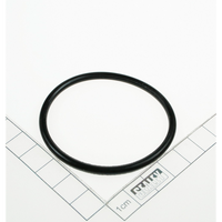 Sealey O-ring 1000TR.47