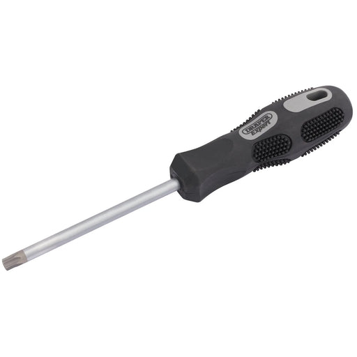 Draper Expert TX-STAR® Security Driver, T40T x 100mm - 970TXT - image 1