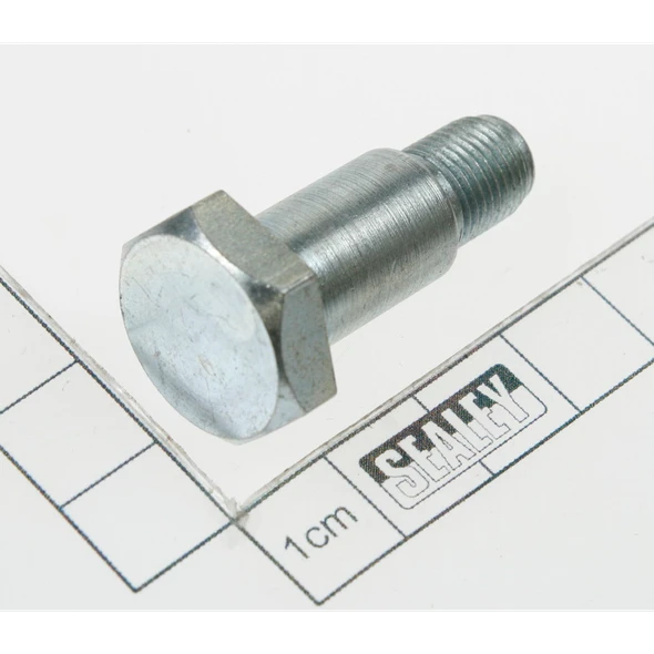 Sealey Locating screw
