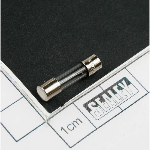 Sealey Fuse 10a