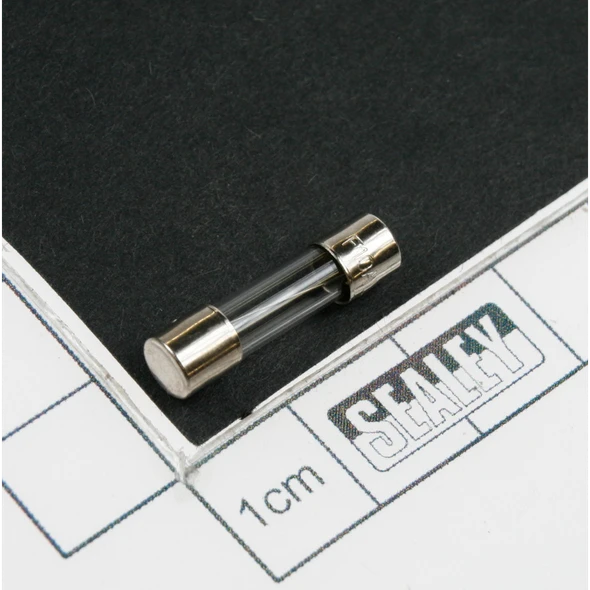 Sealey Fuse 10a