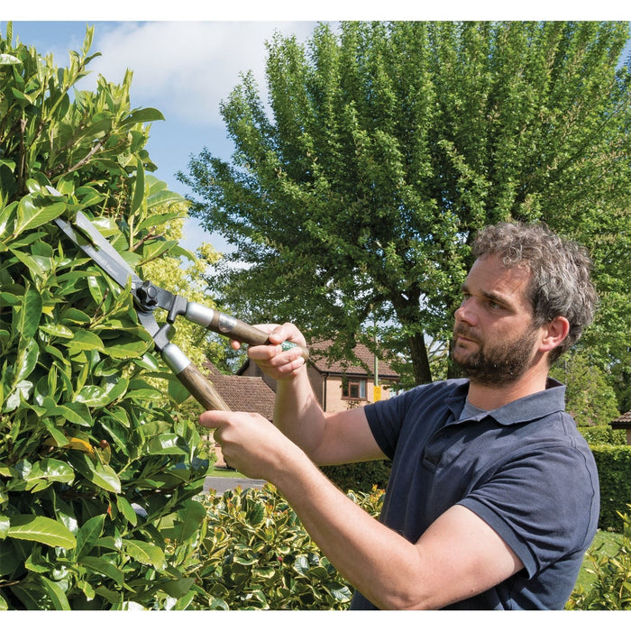 Draper Garden Shears with Straight Edges and Ash Handles, 230mm 36791 Draper - Town Tools 