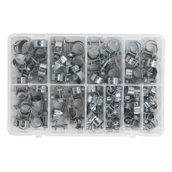 Sealey Mini Hose Clip Assortment 100pc AB042MH Sealey - Town Tools 