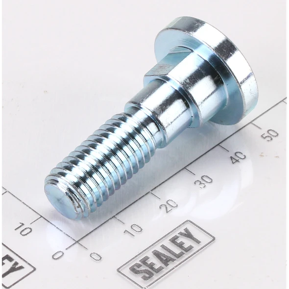 Sealey Screw