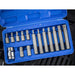 Bluespot Tools TORX Bit Set, 15 Piece BlueSpot Tools - Town Tools