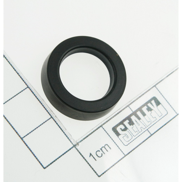Sealey Gasket(so)