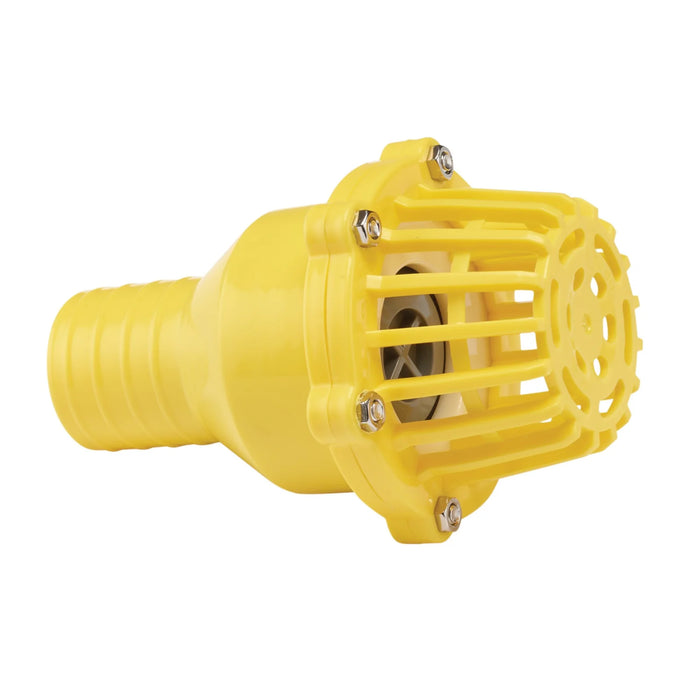 Draper Foot Valve Strainer, 50mm/2" - FVS2