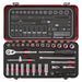 Sealey Premier Platinum Premier Platinum Socket Set 1/4"Sq Drive 49pc AK7920 Sealey Premier Platinum - Town Tools 
